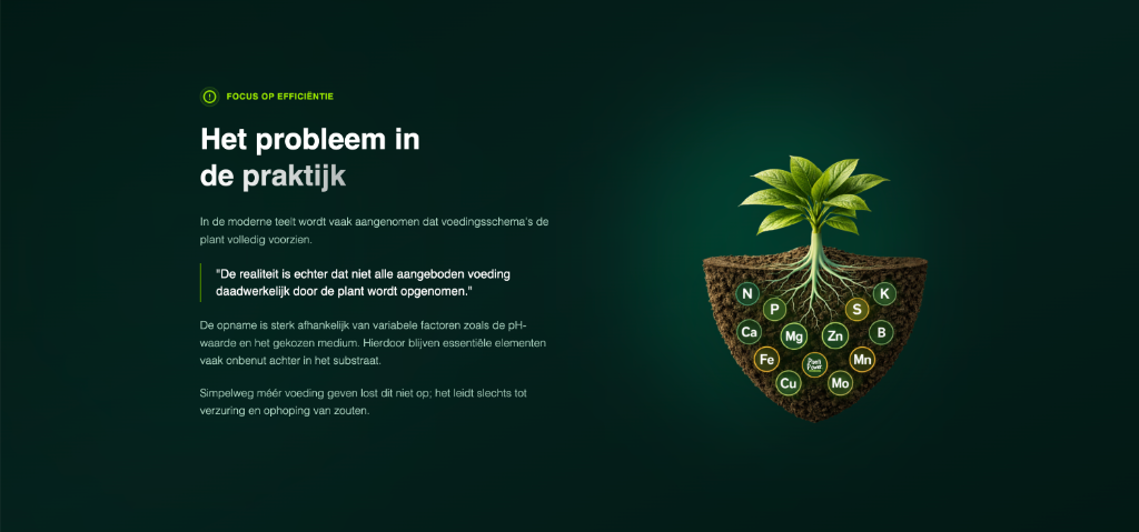 Premium Greenhouse Background